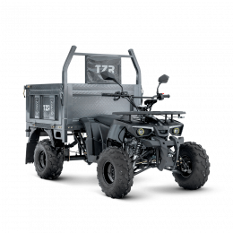 Грузовой квадроцикл TZR-0200 