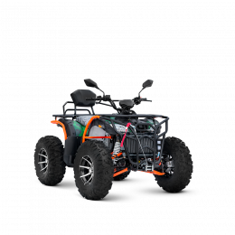 Квадроцикл TZR-300 4x4