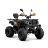 Квадроцикл TZR CLASSIC 200