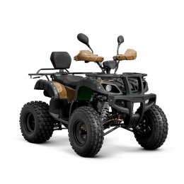 Квадроцикл TZR CLASSIC 200