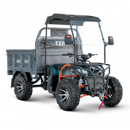 Грузовой квадроцикл TZR-300 (4х4)